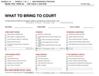 Bundle 3 watermarked What to Bring to Court preview